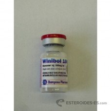 Winibol 100